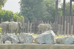 Elephant park