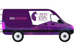 Pets In The City - Mobile Grooming - 800GROOM